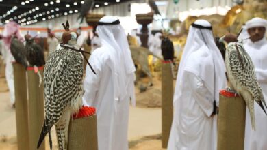 الصقور بمعرض أبوظبي