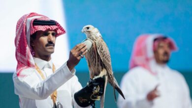 أغلى صقر حر في الشرق الأوسط