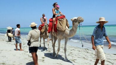 السياحة التونسية