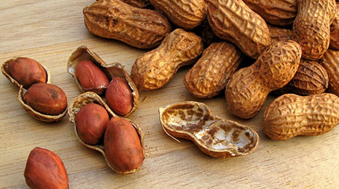 الفول السوداني