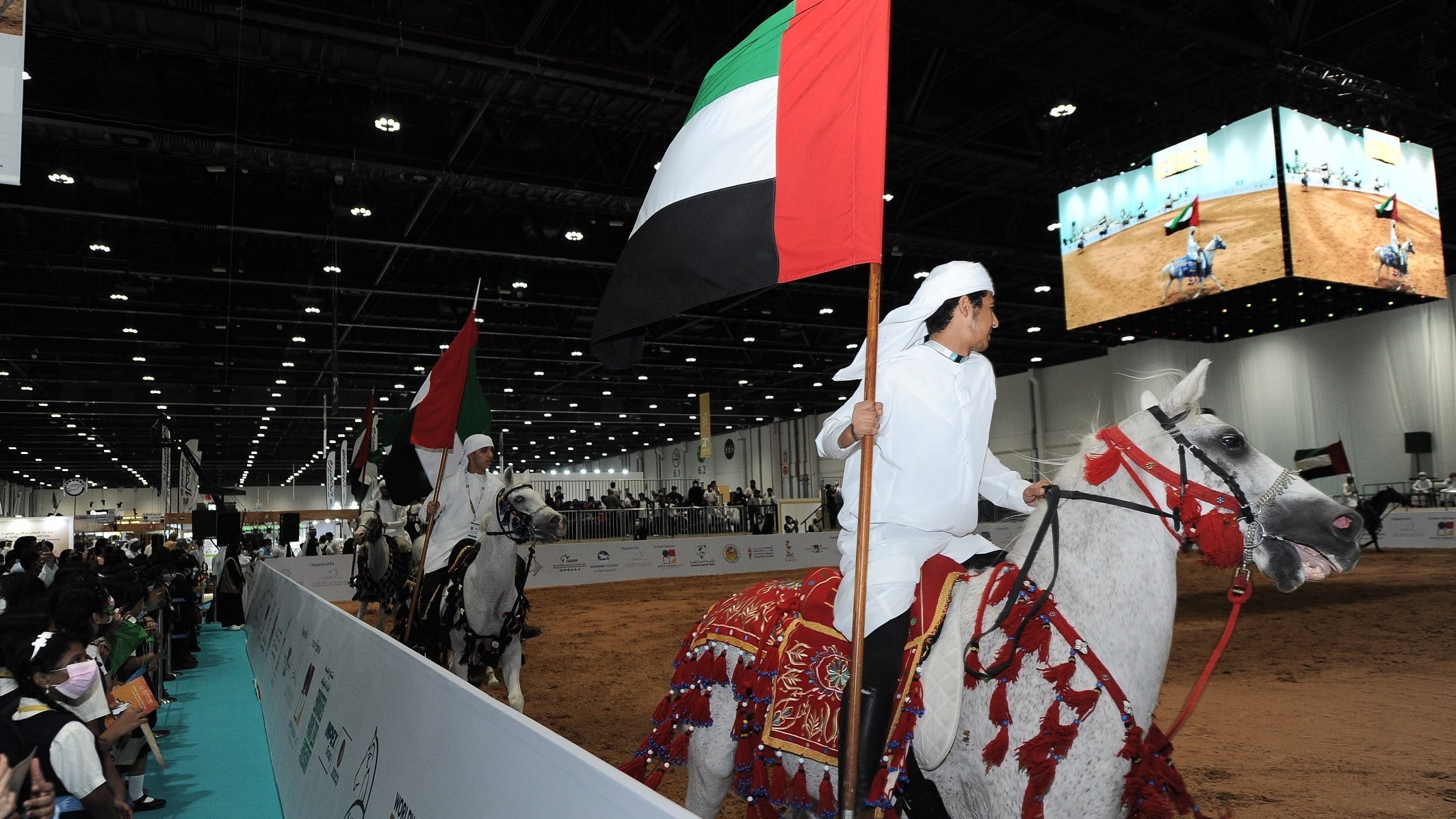 جناح منتجع الفرسان الرياضي