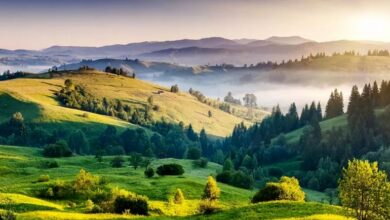 السياحة العلاجية