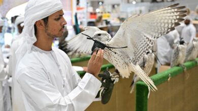 معرض أبوظبي للصيد