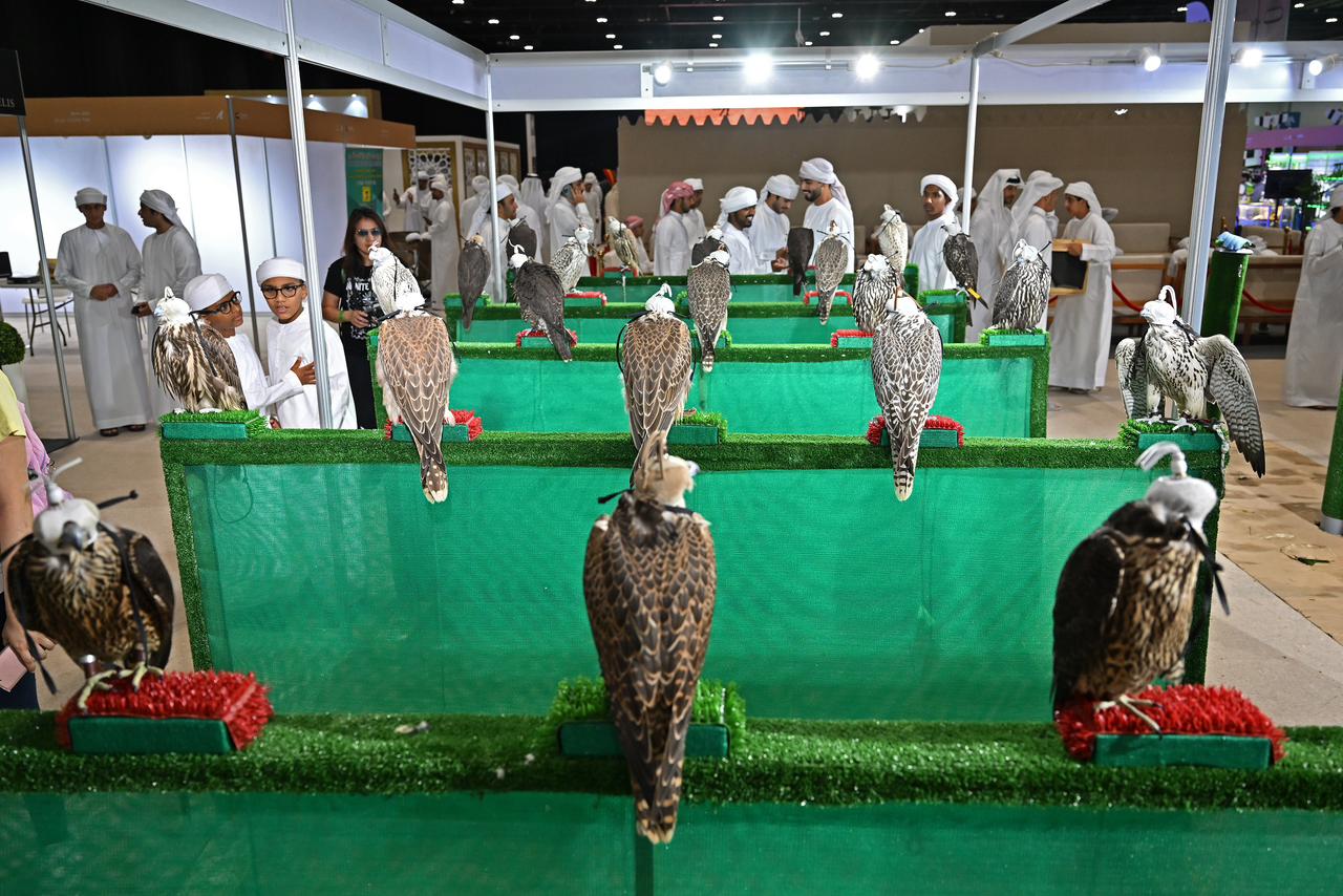معرض أبوظبي الدولي للصيد والفروسية