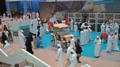 معرض أبوظبي الدولي للصيد والفروسية