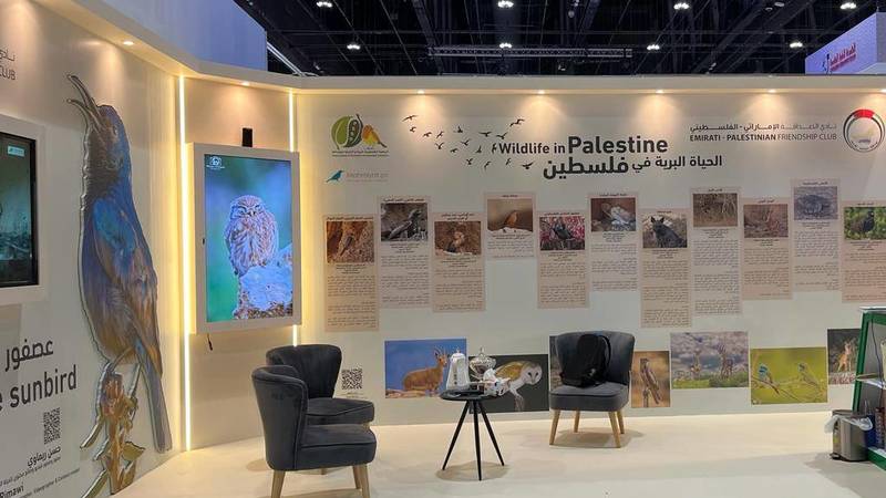 عصفور الشمس بمعرض أبوظبي