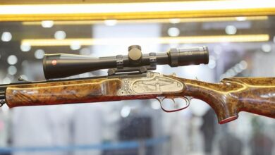 قلعة الصحراء