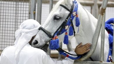 معرض أبوظبي للصيد والفروسية