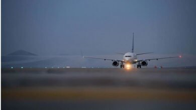 شركات النقل العربية