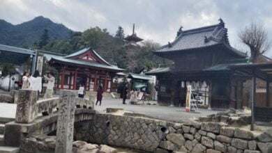 جزيرة مياجيما