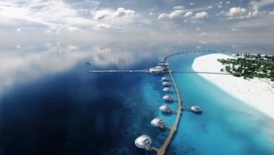 وجهة البحر الأحمر