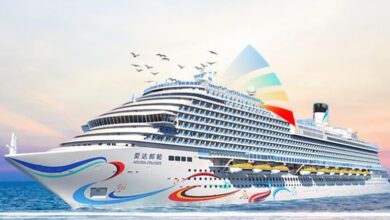 سفينة سياحية صينية