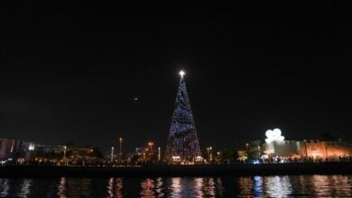 فعاليات وجهة السيف