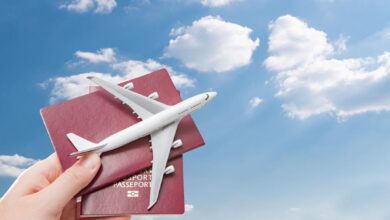 شركات السياحة