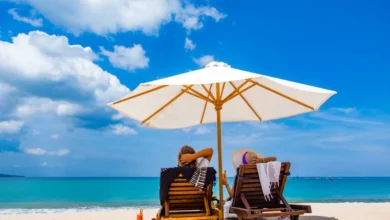 الرحلات السياحية