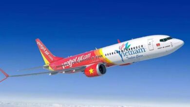 الطيران الفيتنامي