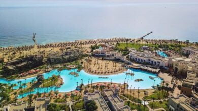 بيك الباتروس