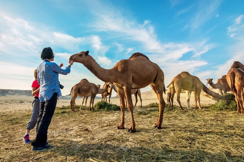 السياحة الزراعية الريفية البيئية بالسعودية