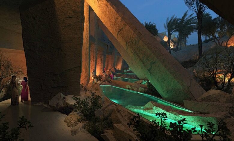 مشروع زينور