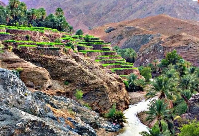 شمال الباطنة