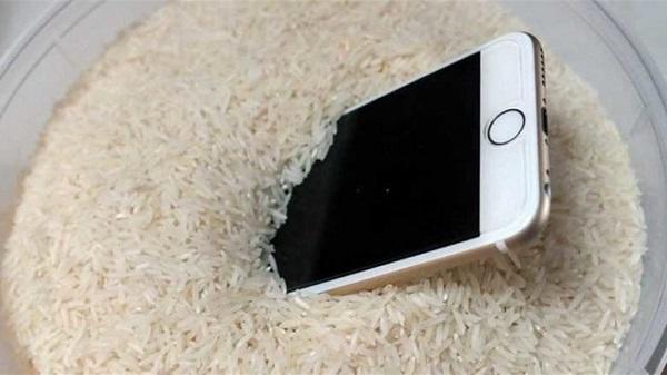 تجفيف الـ iPhone في الأرز