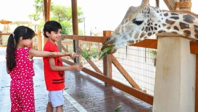 حديقة الحيوانات بالعين