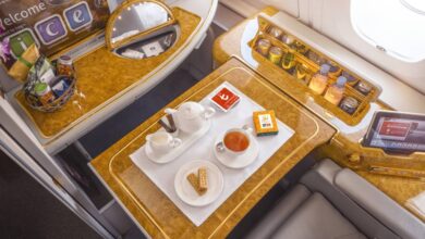 طيران الإمارات وديلما