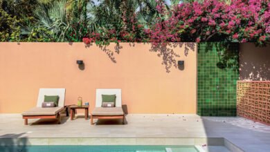 فندق ميليا ديزرت بالم