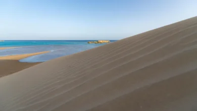 شاطئ المسدود