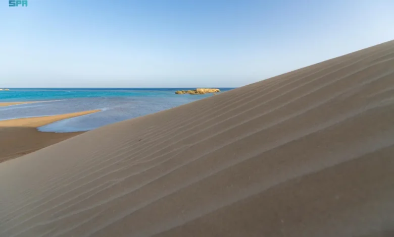 شاطئ المسدود