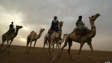 المعابر الحدودية بالجزائر