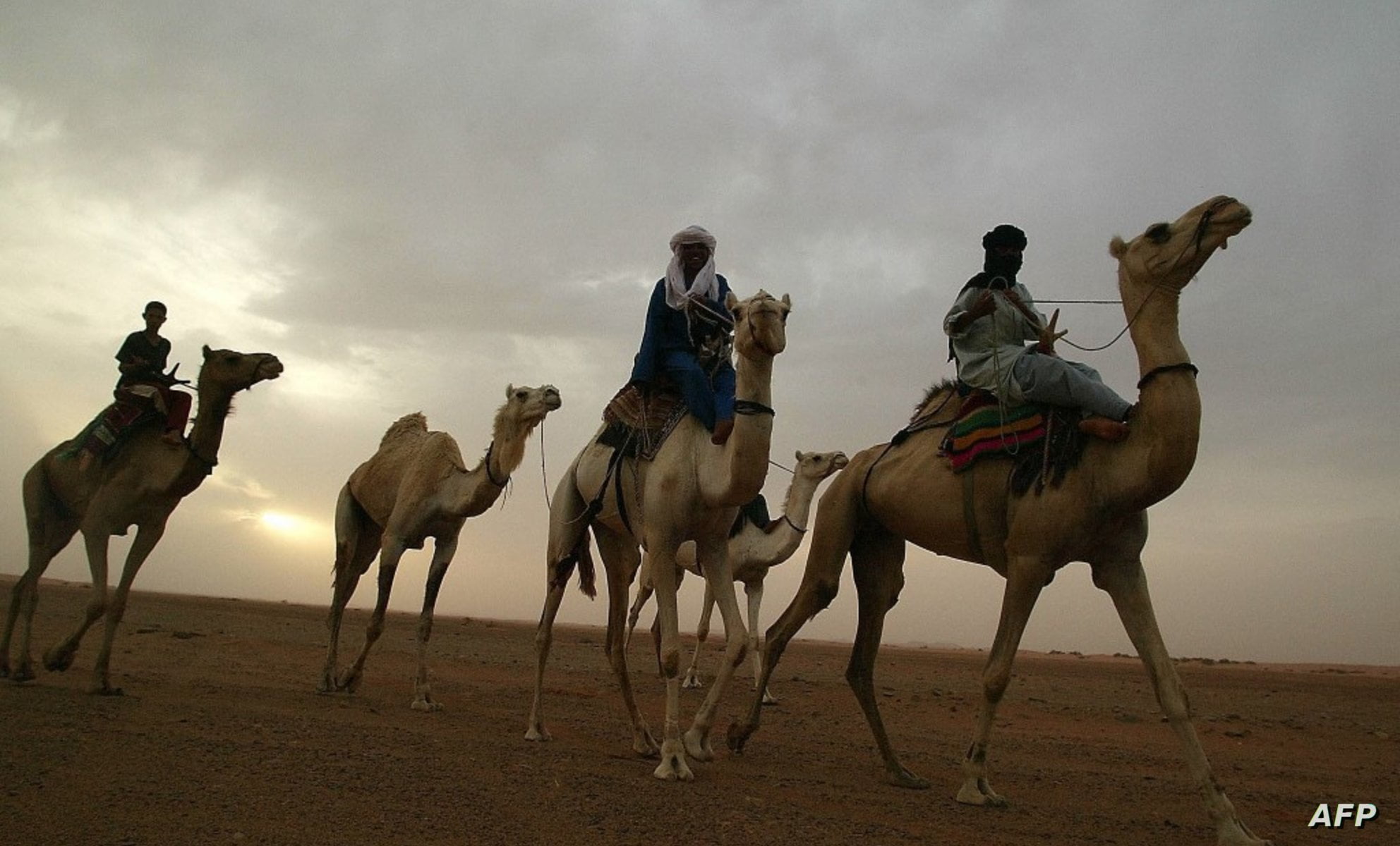 المعابر الحدودية بالجزائر