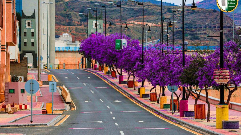 مدينة أبها