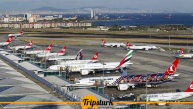 شركات الطيران