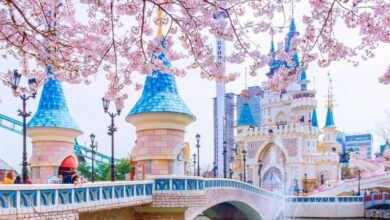 كوريا الجنوبية