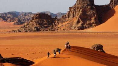 جانت الجزائرية