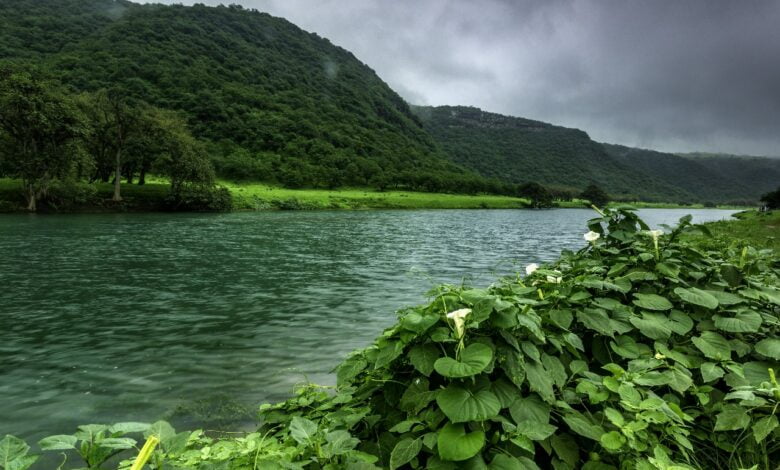 محافظة ظفار