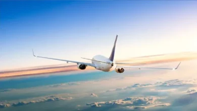 الخطوط البنغلاديشية