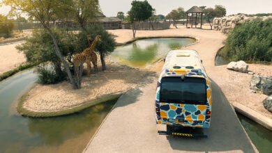 دبي سفاري بارك