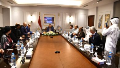 محافظ جنوب سيناء