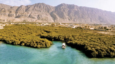 رأس الخيمة لتنمية السياحة