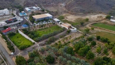 المزارع السياحية بالباحة