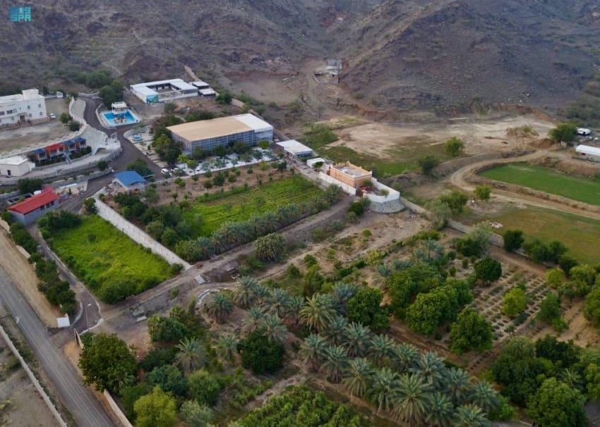 المزارع السياحية بالباحة