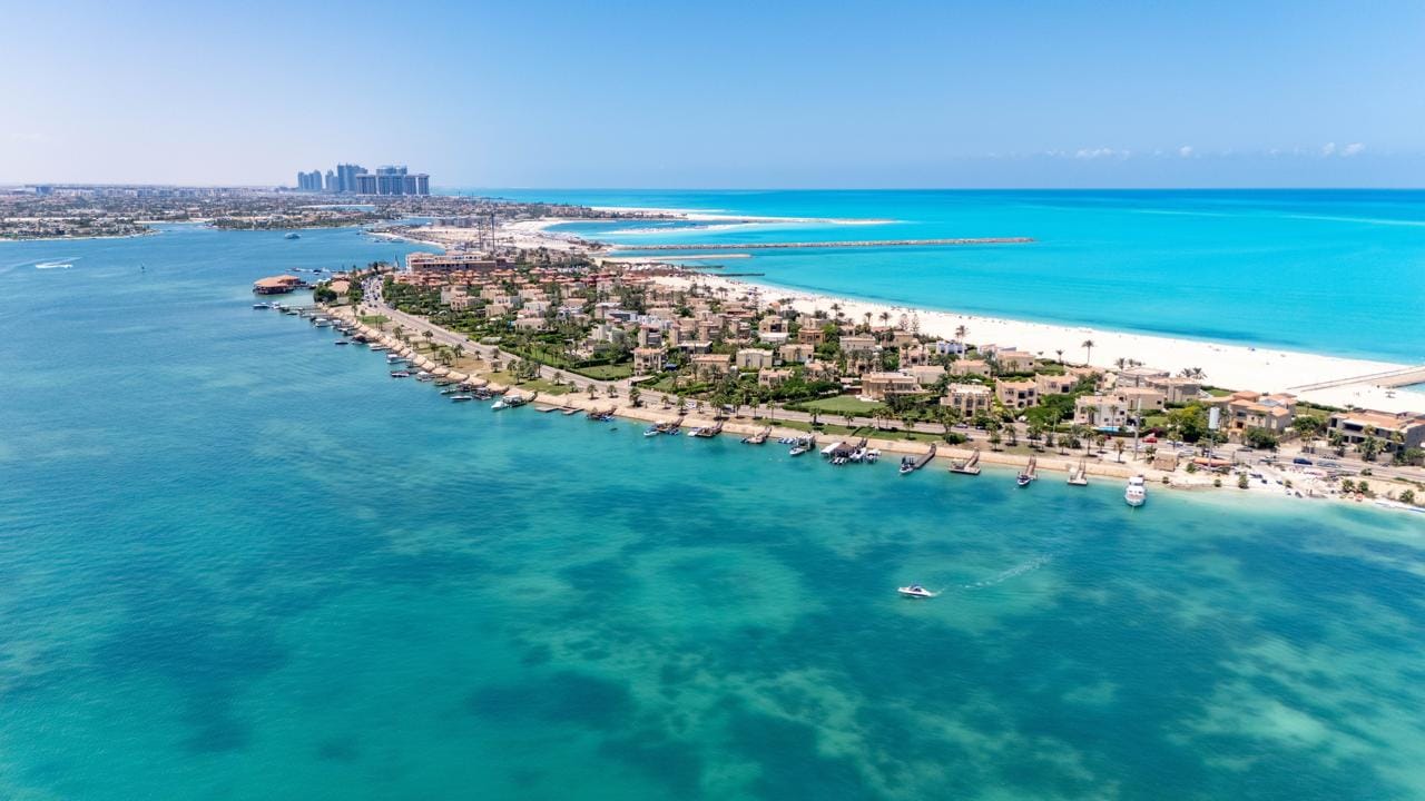 العلمين