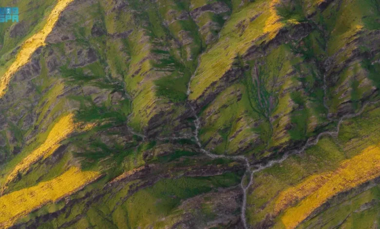 شلالات الطائف