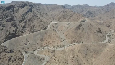 عقبة الفقرة