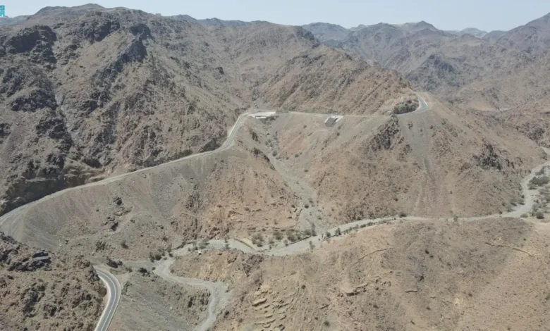 عقبة الفقرة