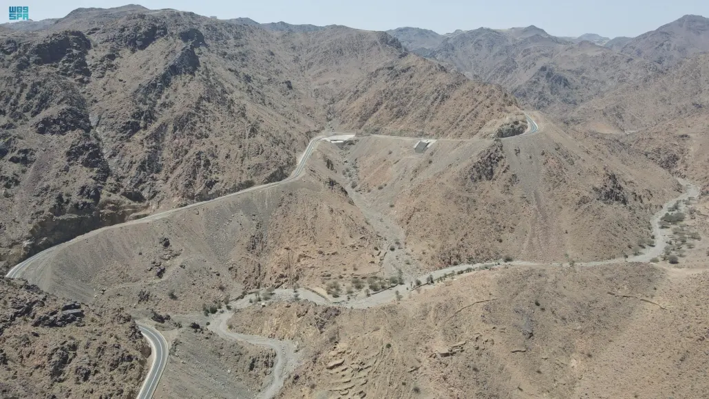 عقبة الفقرة