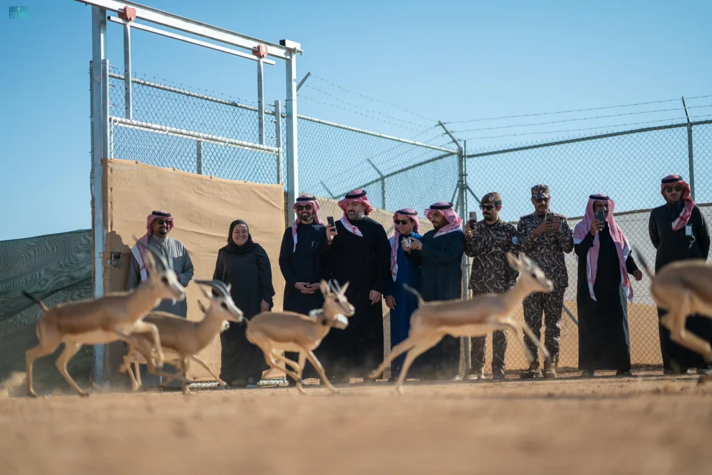 محمية الملك خالد