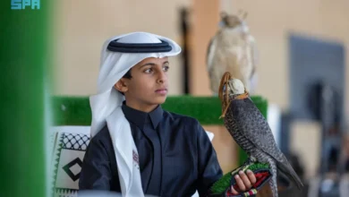 مهرجان الصقور